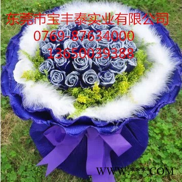 新鮮幻彩玫瑰著色劑植物工藝品