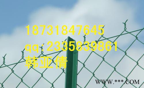 專業的電鍍鋅-勾花網、熱鍍鋅-勾花網、包塑勾花網就在晟友