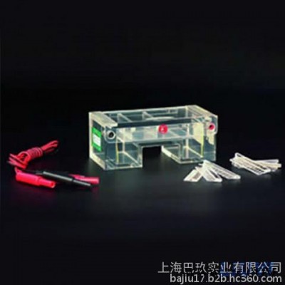 北京六一瓊脂糖水平電泳槽DYCP-31C|水平電泳儀報價|電泳儀廠家
