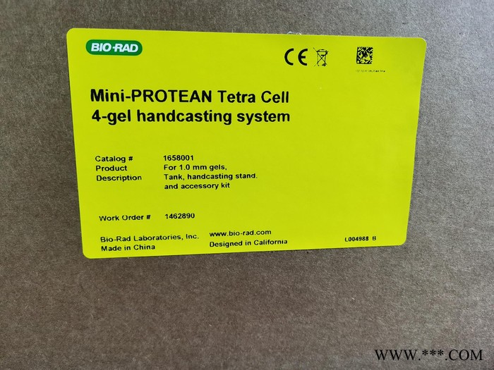 Biorad/美國(guó)伯樂(lè)Mini-PROTEANTetra電泳槽（小型垂直電泳）165-8001 現(xiàn)貨
