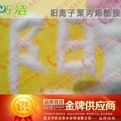 專業(yè)水處理藥劑生產(chǎn)廠家 高效 環(huán)保 用量少 污水凈水劑 陽離子型聚丙烯酰胺 CPAM凝膠電泳