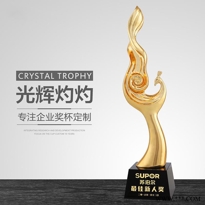 樹脂電鍍獎杯批發樹脂獎品圖樣樹脂獎杯價格咨詢關愛老人獎杯中國人壽獎杯
