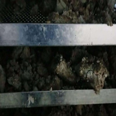威凌菲斯20噸電鍍污泥低溫干化系統(tǒng) 無有害氣體排出 低能耗