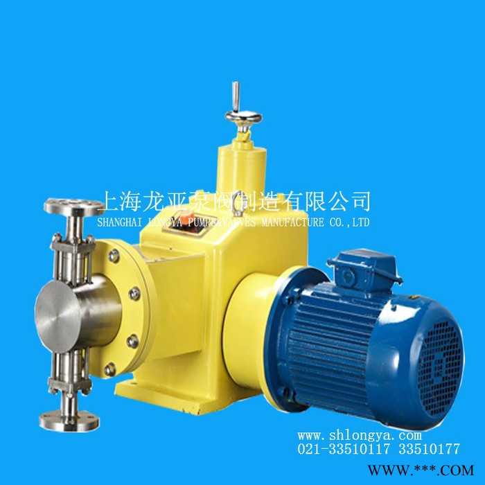 供應上海2J-D-2680/0.8電鍍液雙泵頭計量泵 HCLSUS304計量泵
