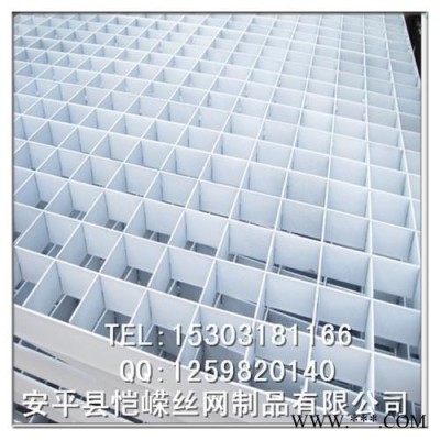 加工定制不銹鋼鋼格板生產(chǎn) 地下室熱鍍水溝蓋板 電鍍廠(chǎng)鋼格柵