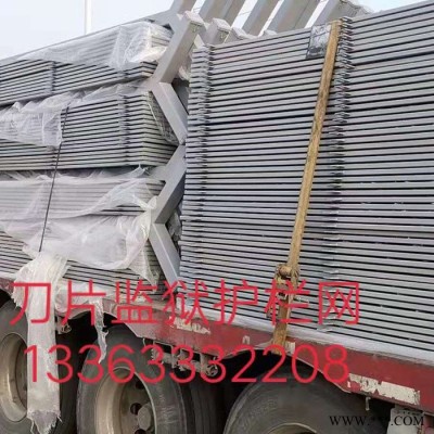 專業(yè)生產(chǎn)  監(jiān)獄防攀護(hù)欄網(wǎng)機(jī)場護(hù)欄網(wǎng)規(guī)格 監(jiān)獄護(hù)欄網(wǎng) 電鍍機(jī)場護(hù)欄網(wǎng) 刀片刺繩監(jiān)獄護(hù)欄網(wǎng)