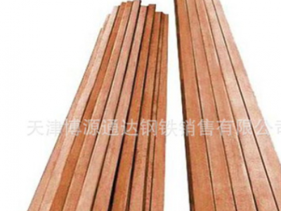 C1100紫銅排 t1 t2接地紫銅排 高導(dǎo)電率紫銅排